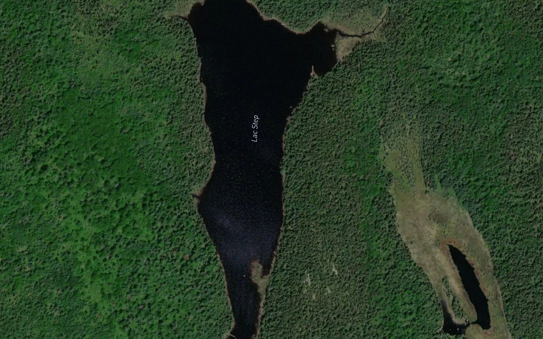 Satellite map of the Lac Step