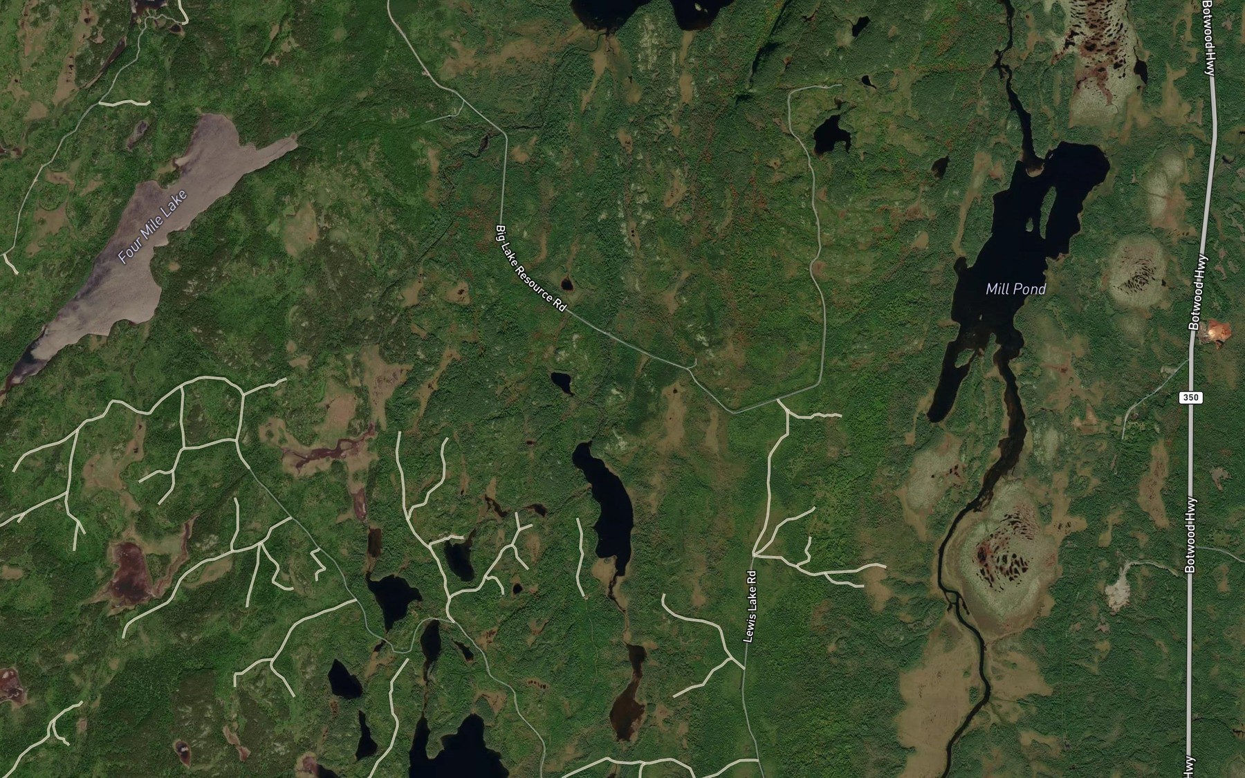 Satellite map of the Cleaves Lake