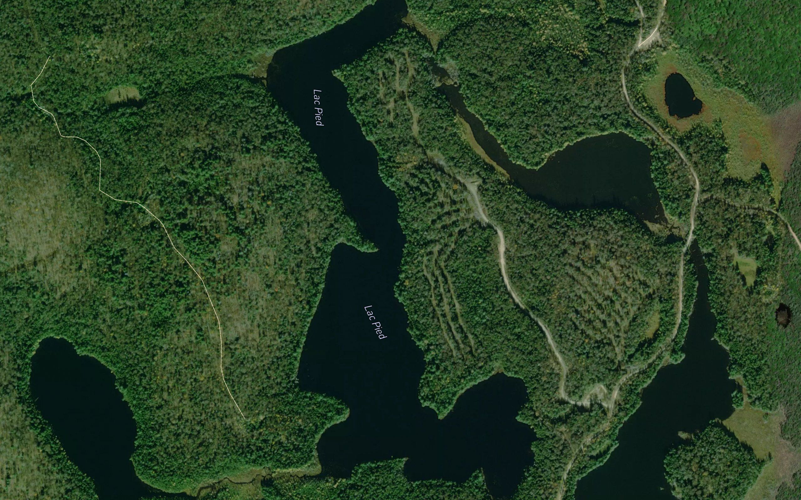 Lac Pied