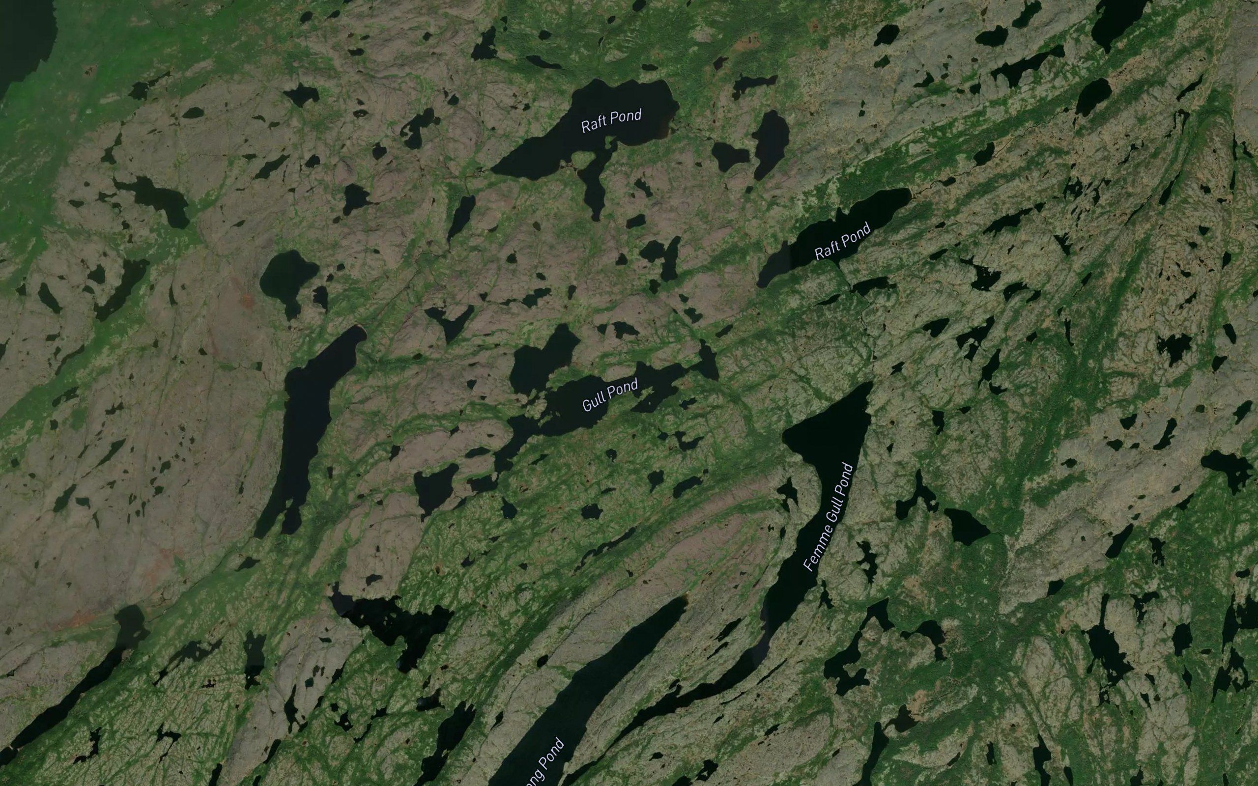 Gull Pond