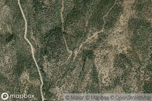 Juniper Spring