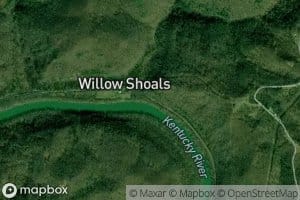 Willow Branch