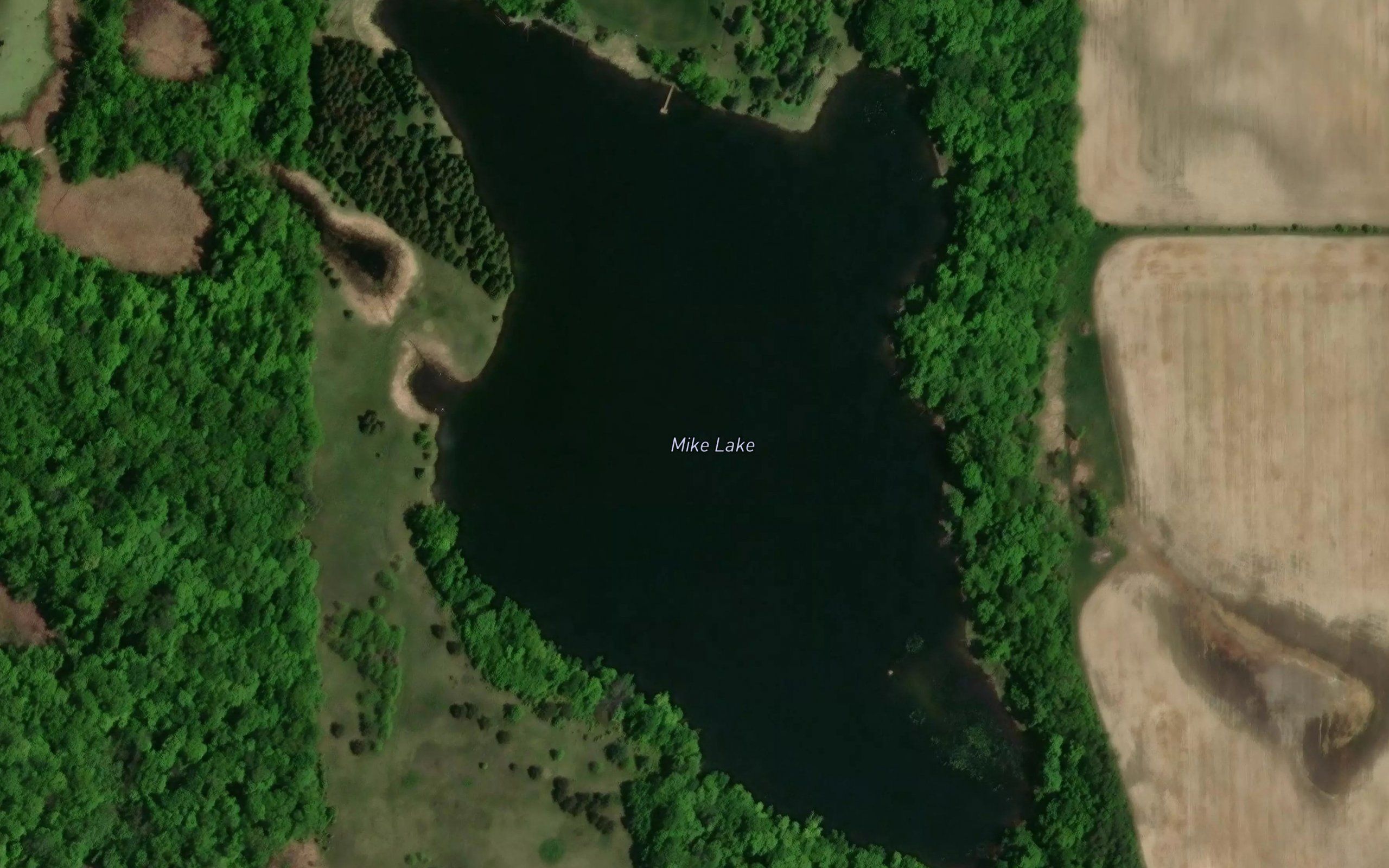 Mike Lake