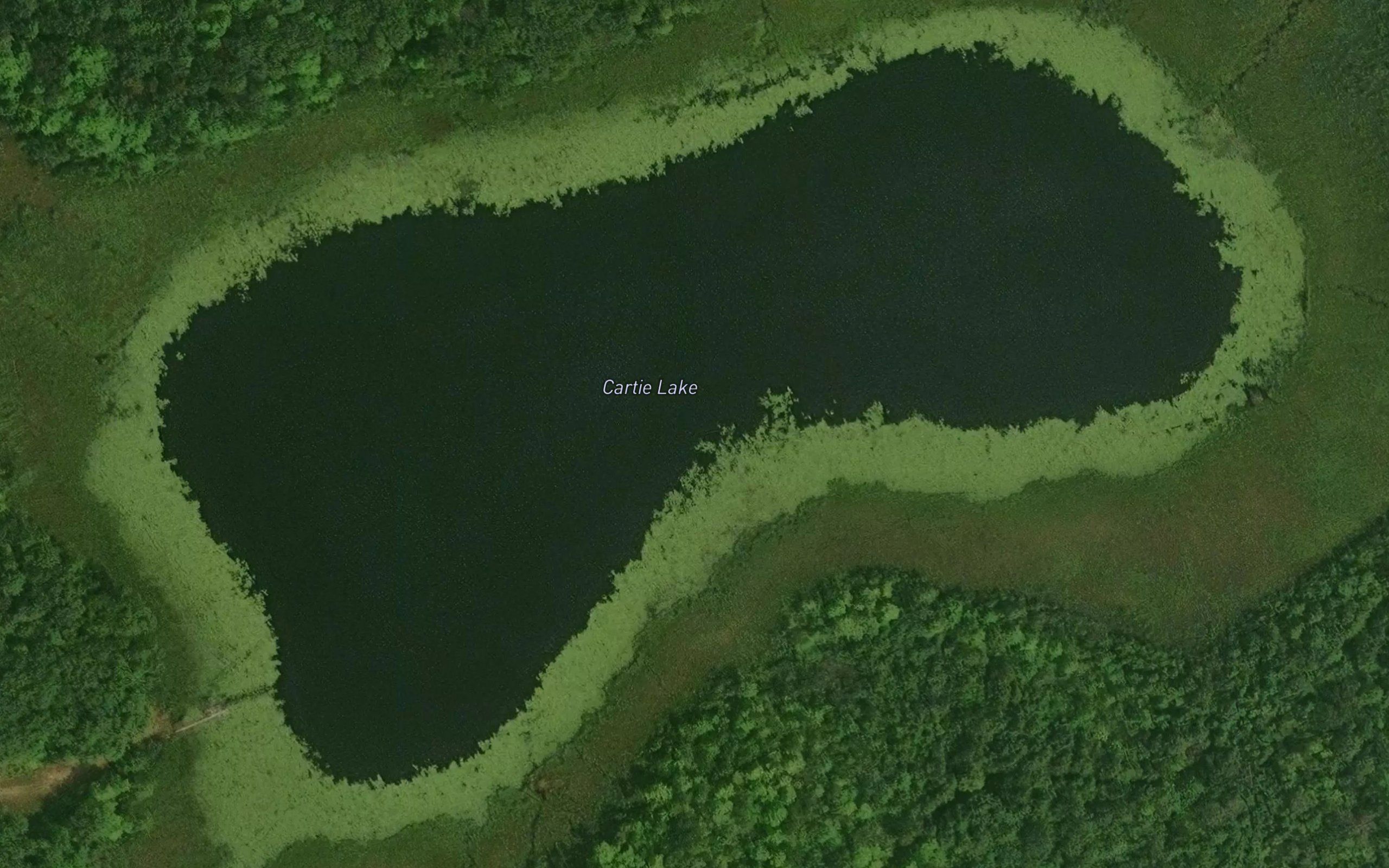 Cartie Lake