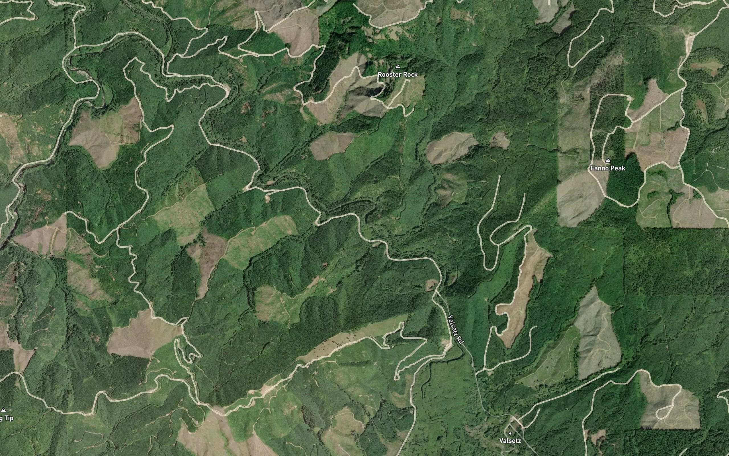 Pigeon Creek