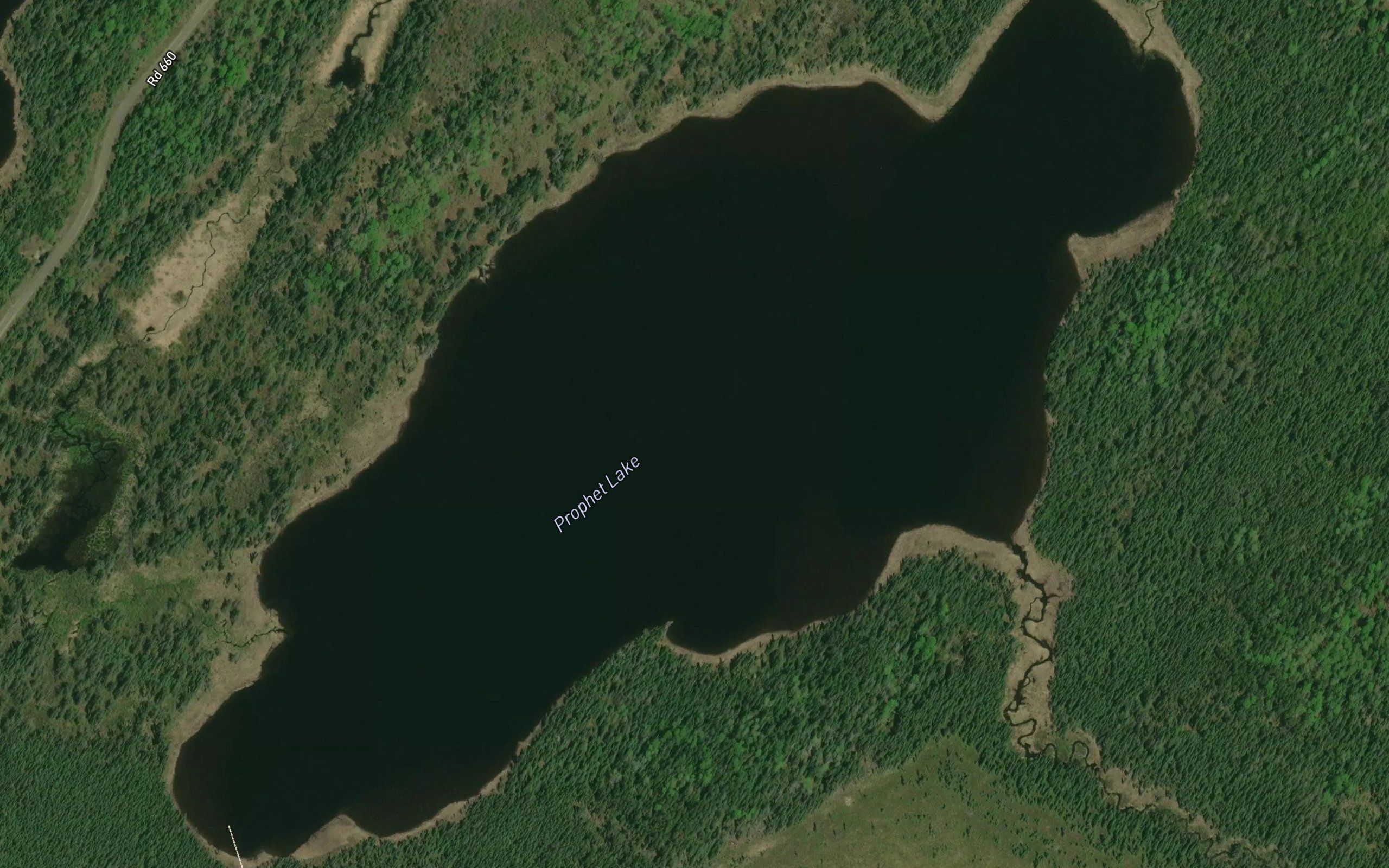 Prophet Lake