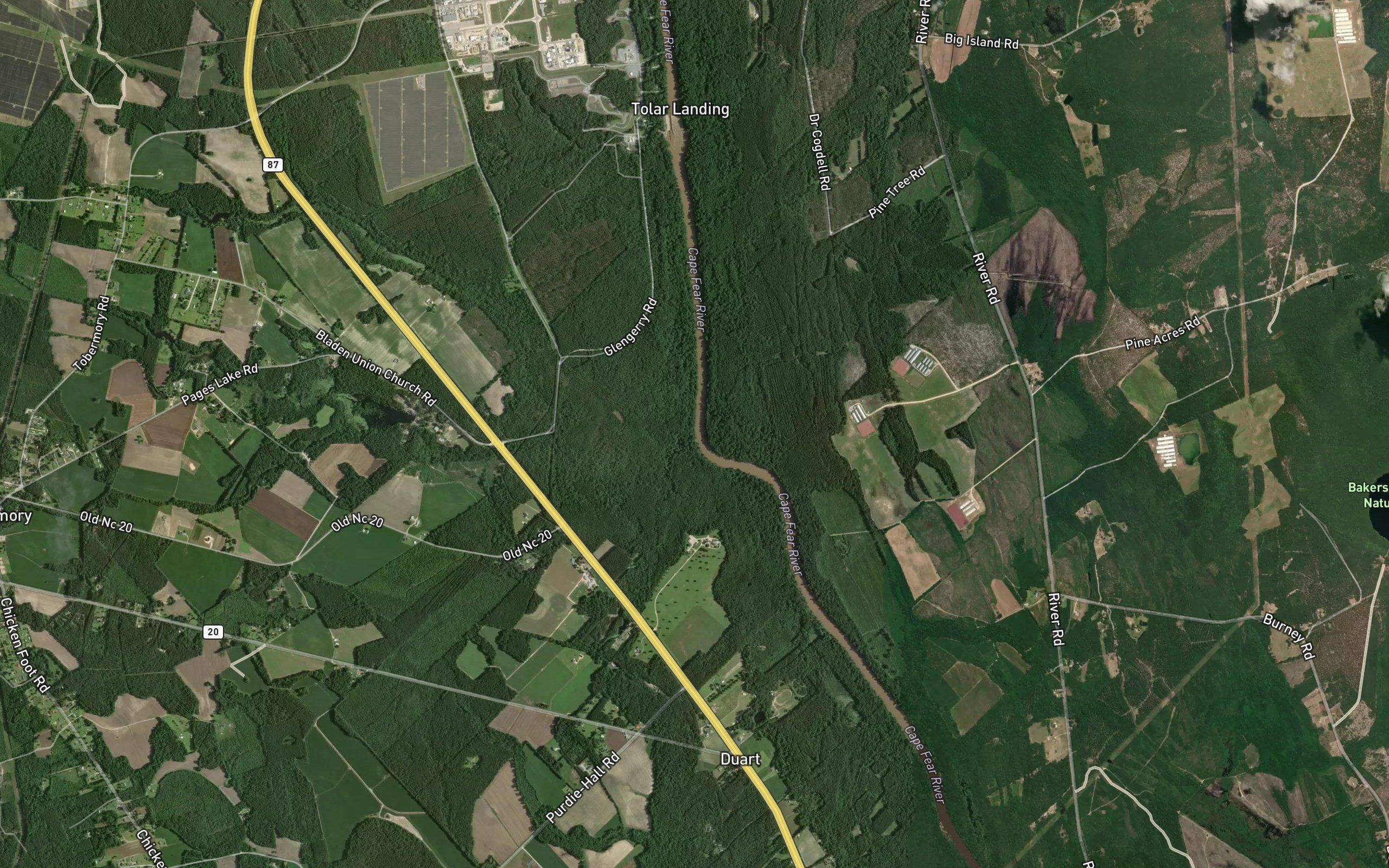 Georgia Branch