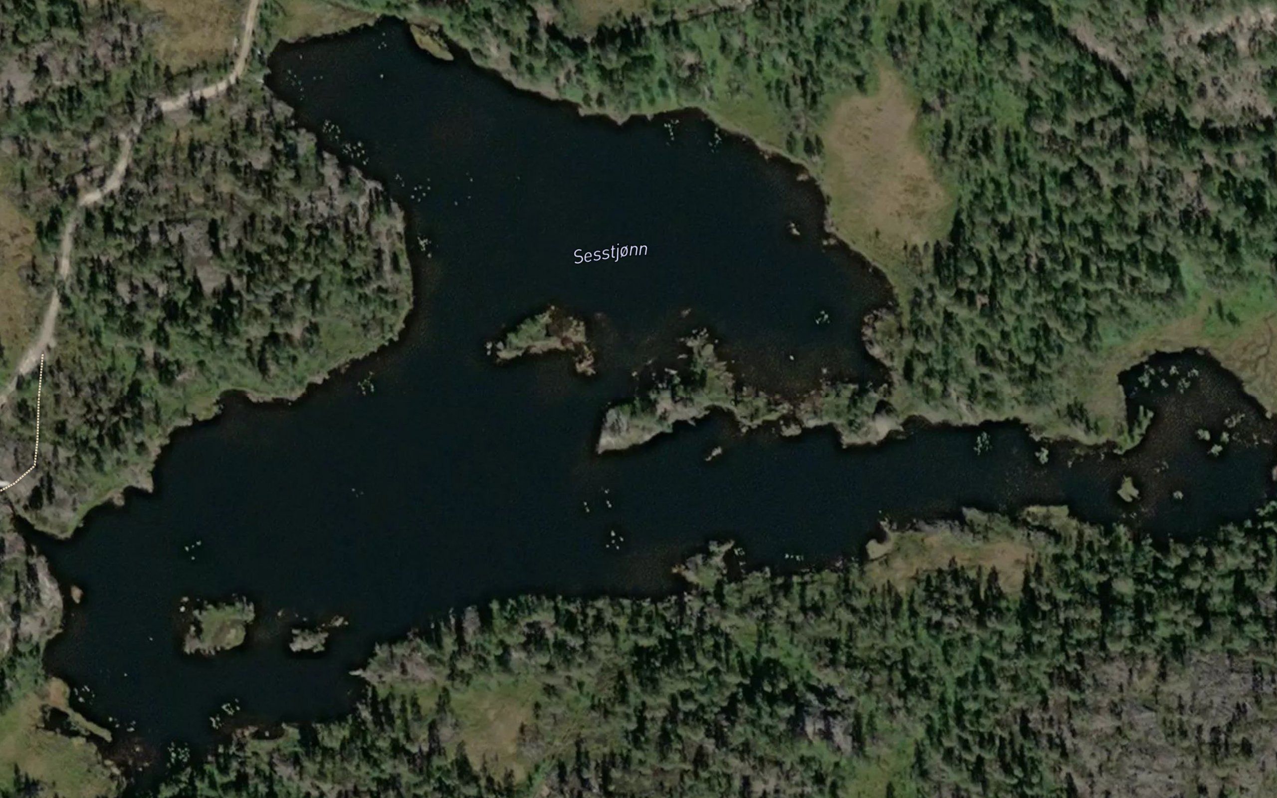 Sesstjorn