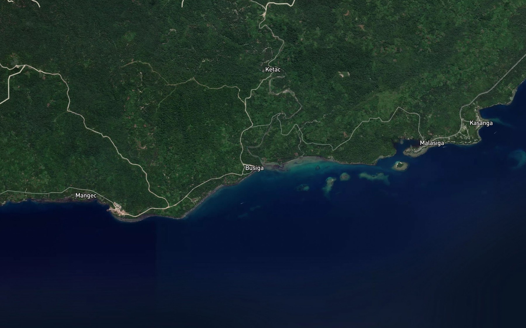 Satellite map of the Busiga River