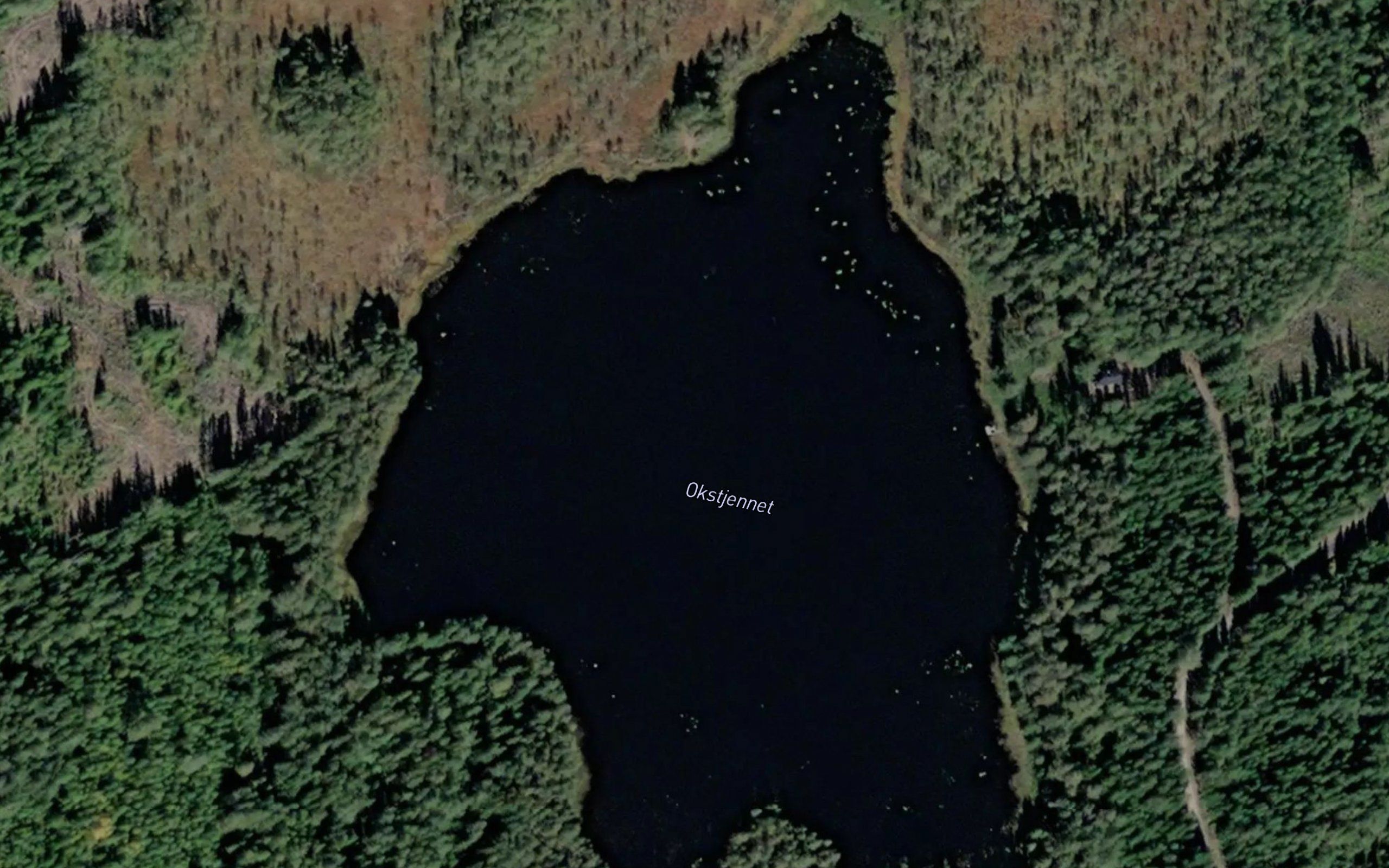Okstjernet