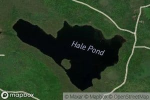 Hale Pond