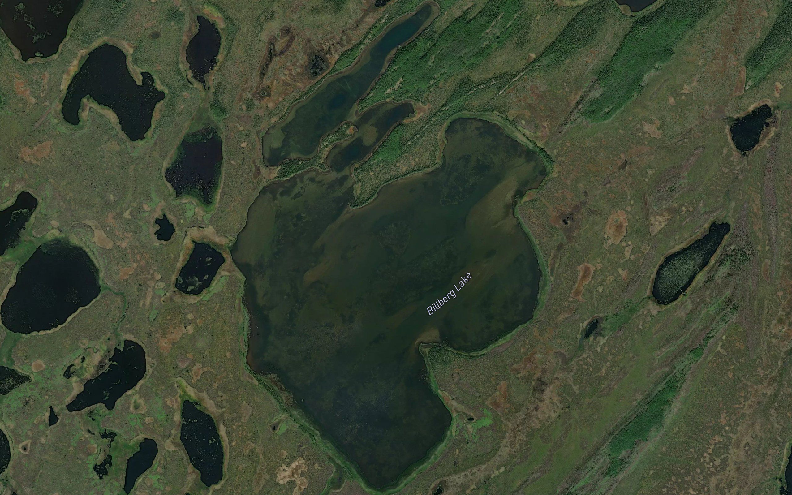 Billberg Lake