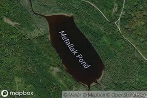 Metallak Pond