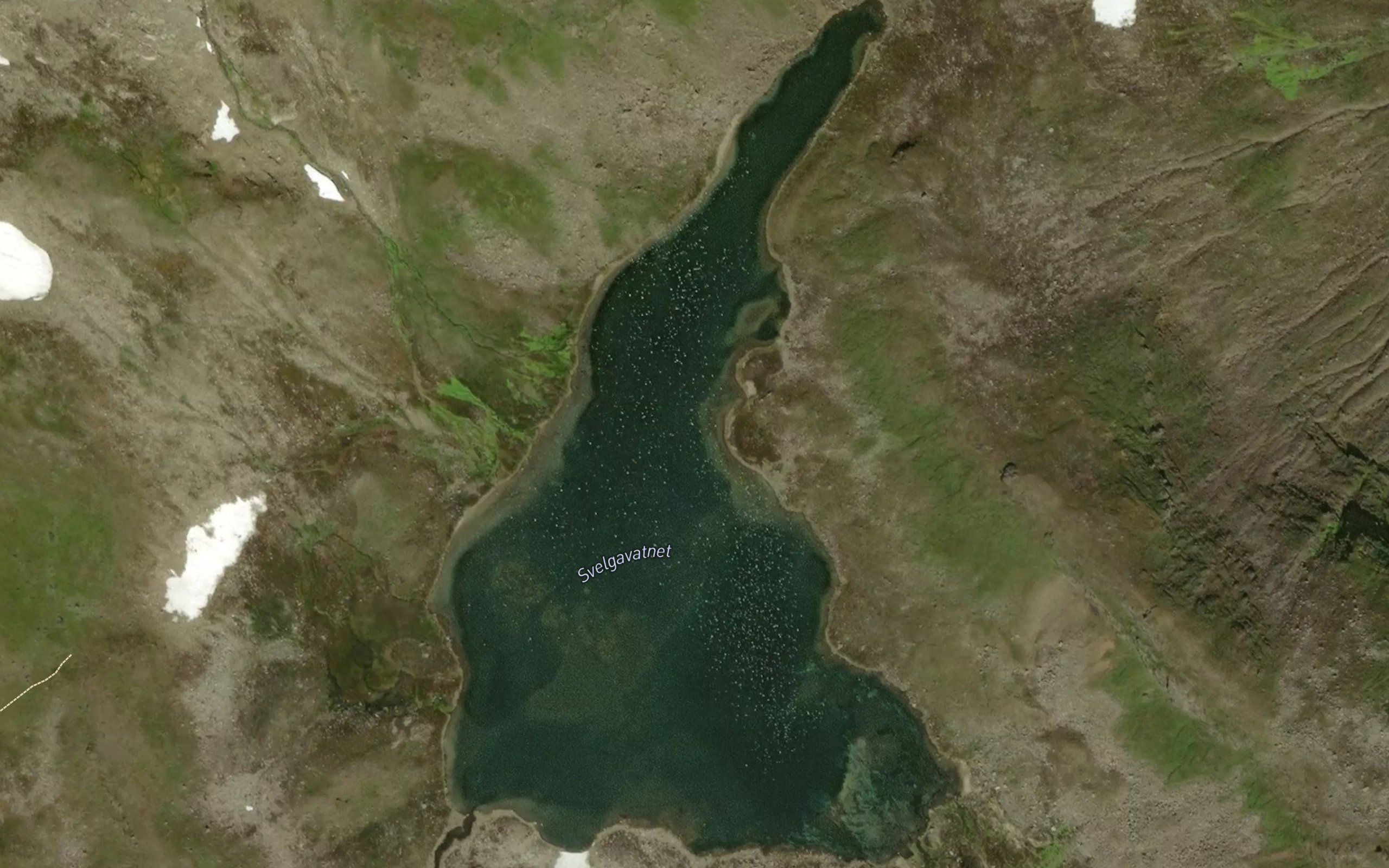 Svelgavatnet
