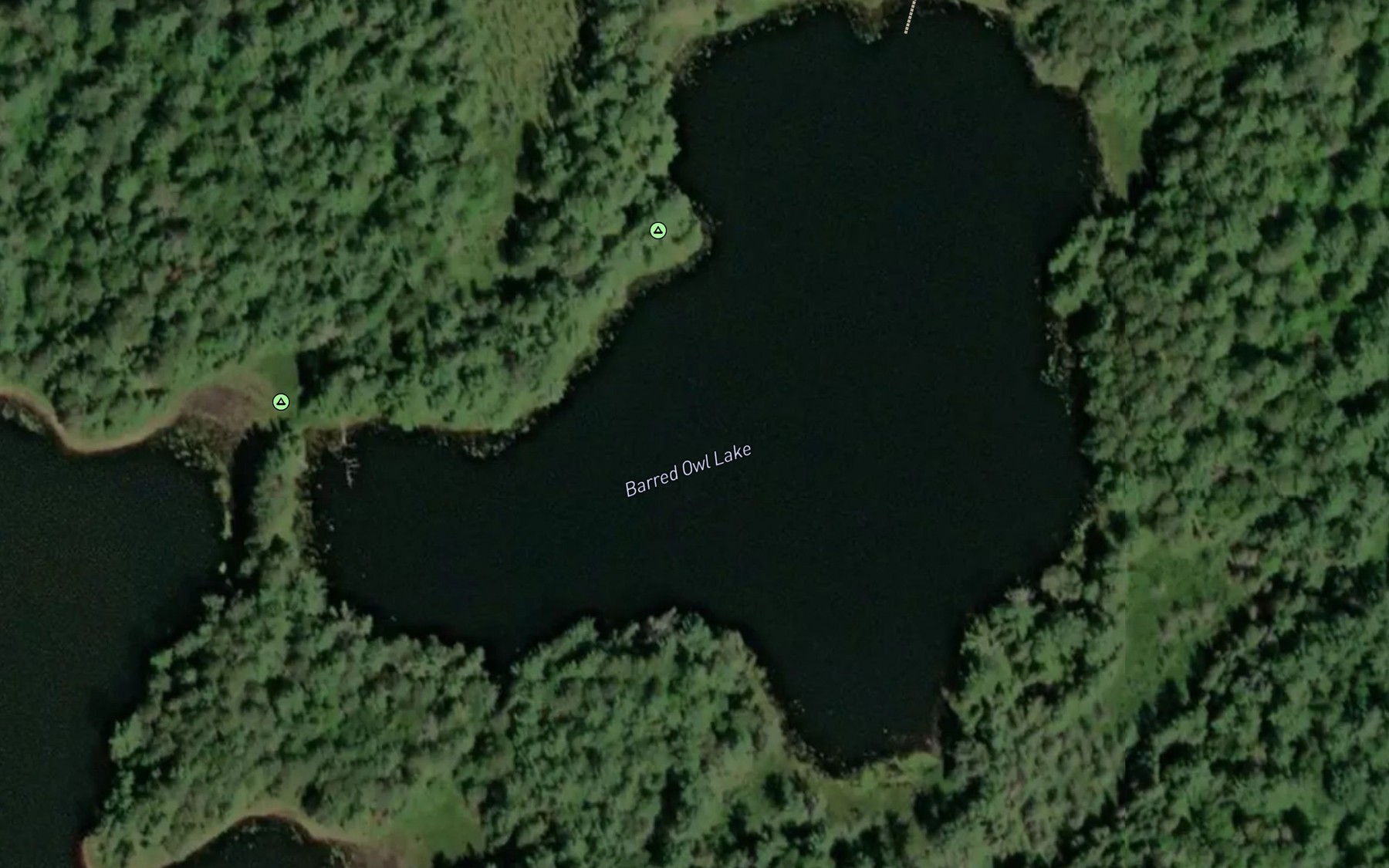 Satellite map of the Barred Owl Lake