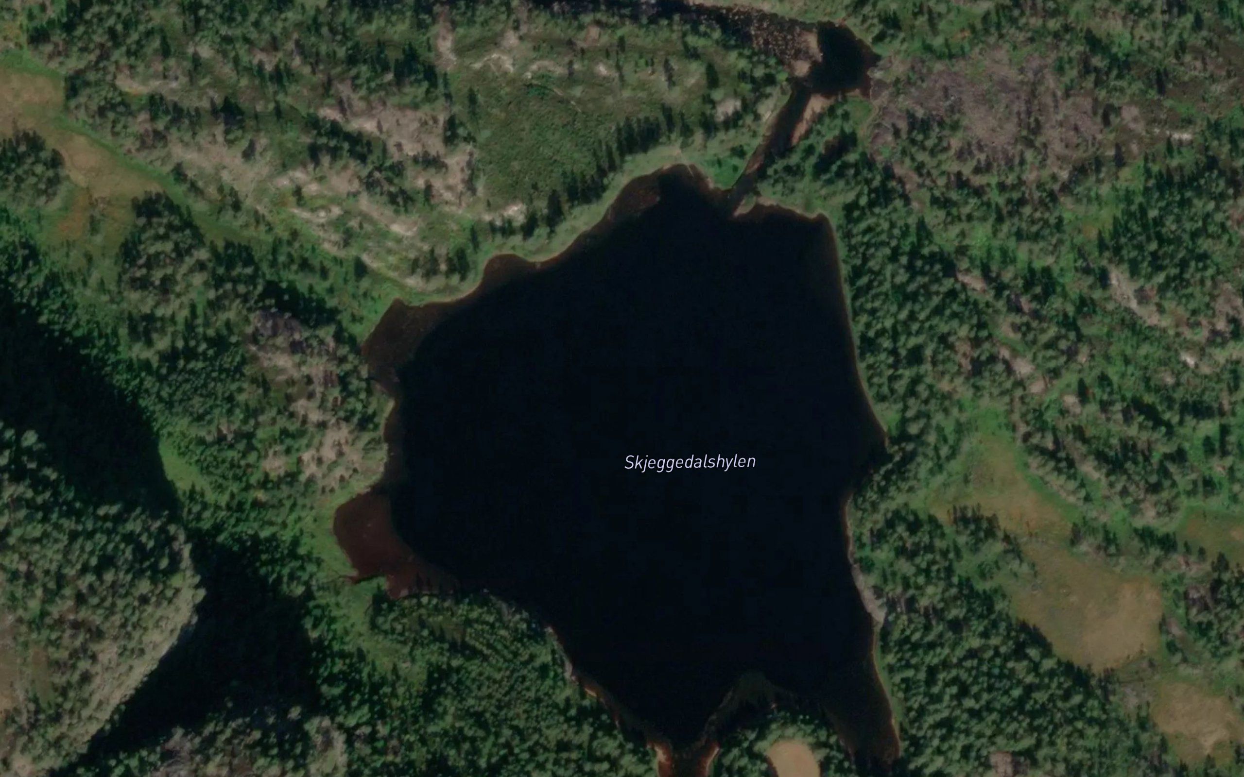 Skjeggedalshylen