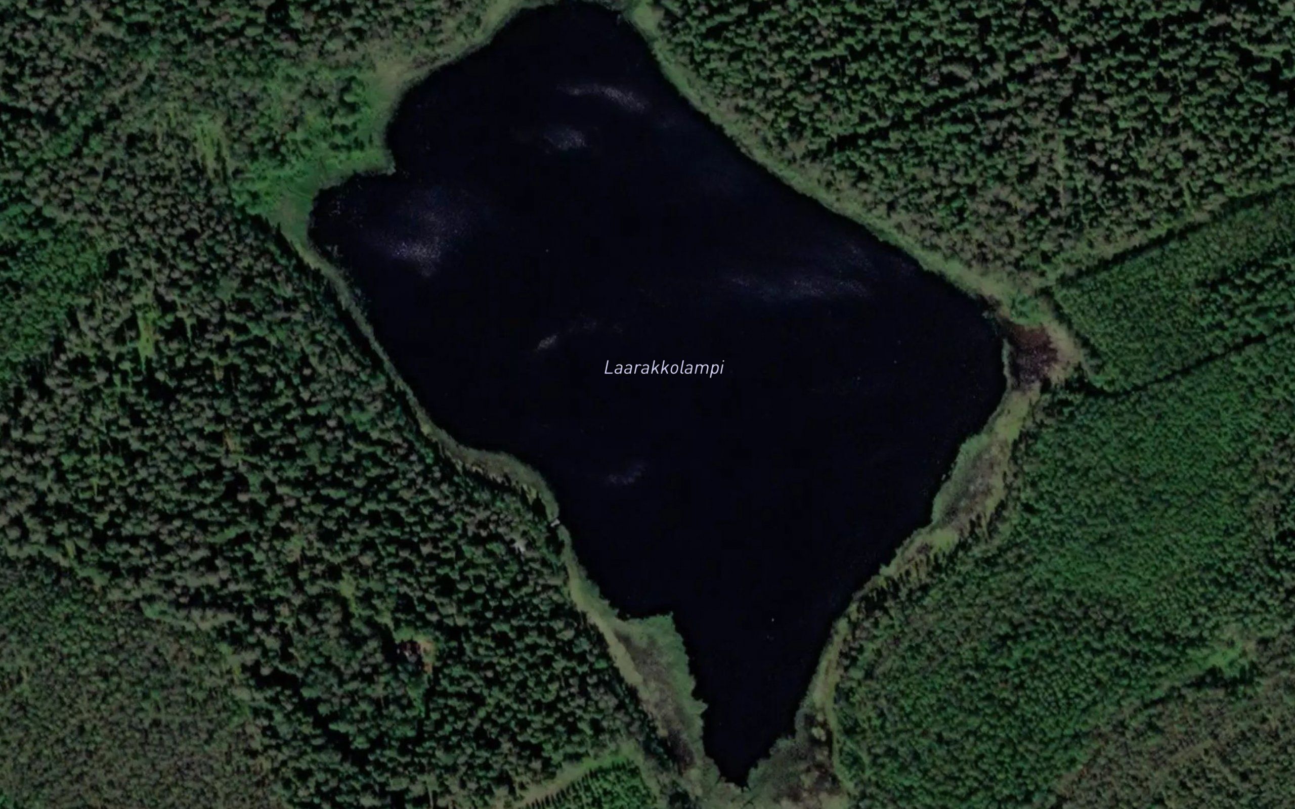 Laarakkolampi