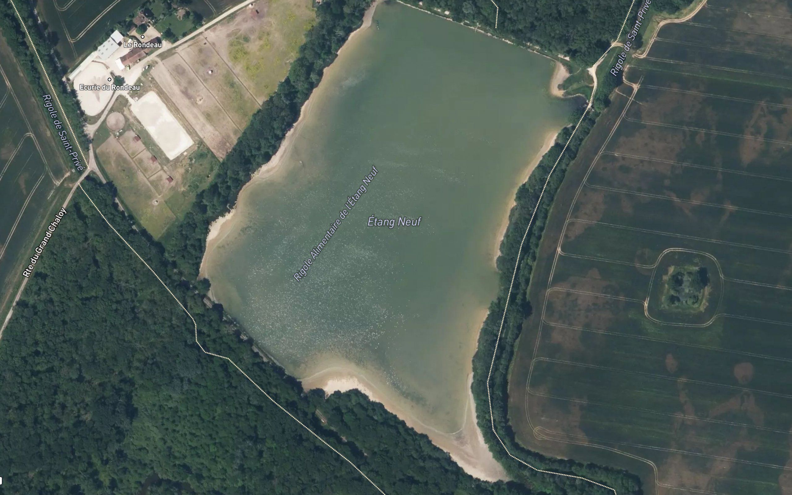 Etang Neuf