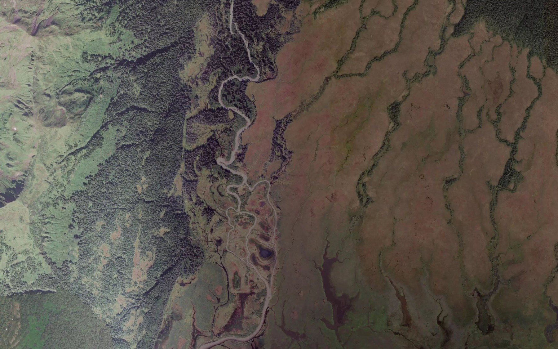 Satellite map of the Steele Creek