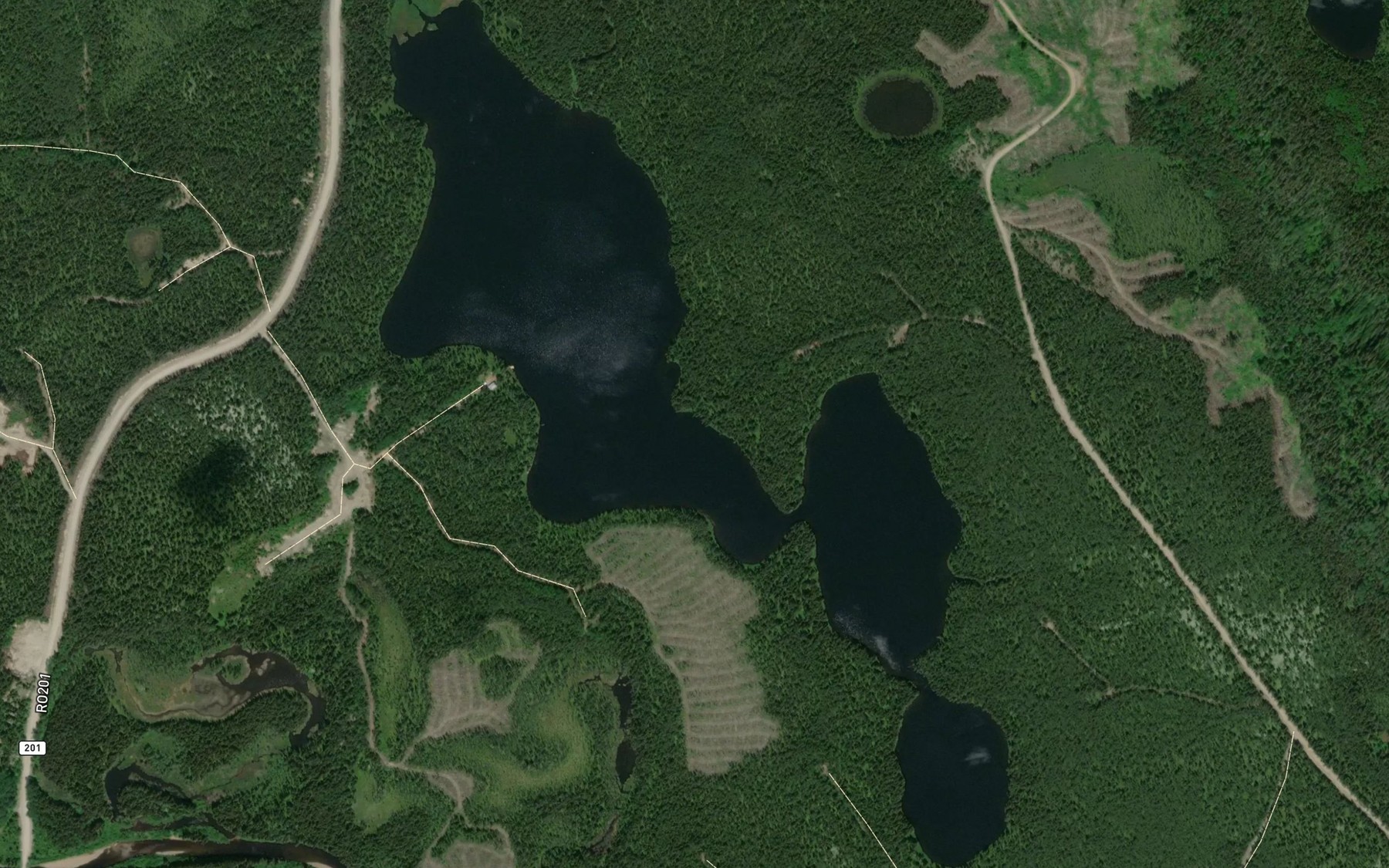 Satellite map of the Lac des Ingenieurs