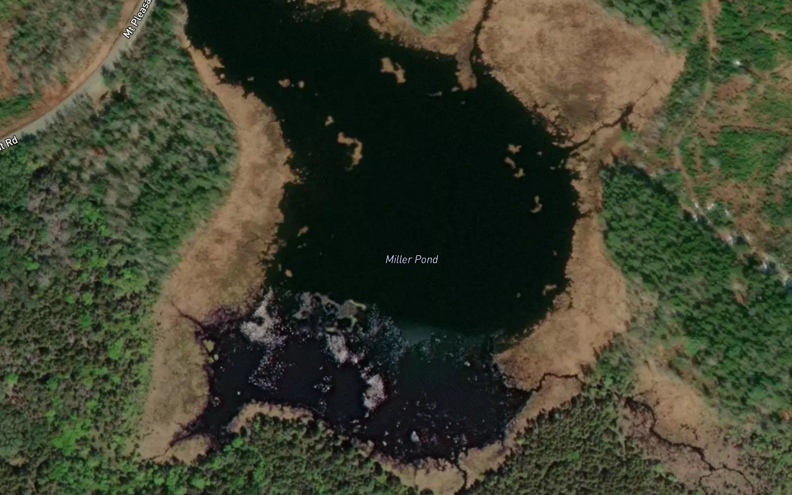 Miller Pond