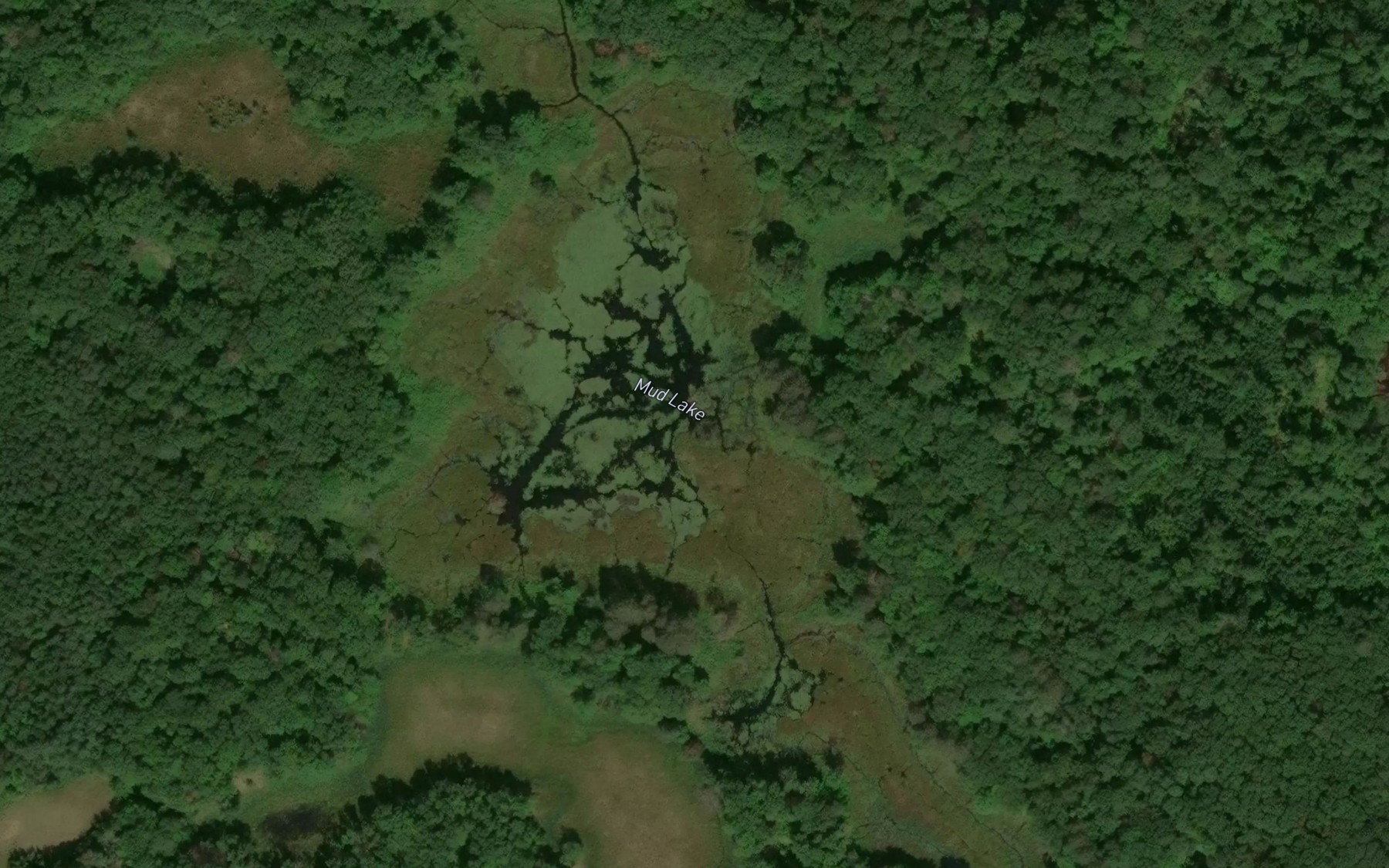 Satellite map of the Mud Lake
