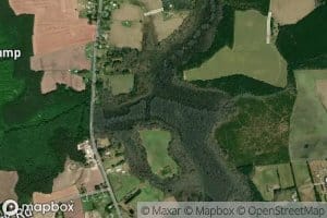 Taylor Swamp