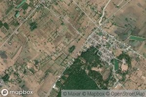 Nong Yai