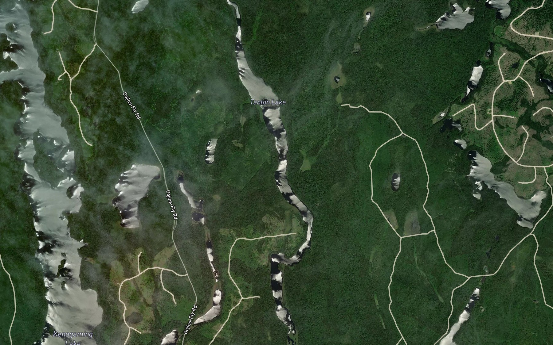 Satellite map of the Tanton Lake