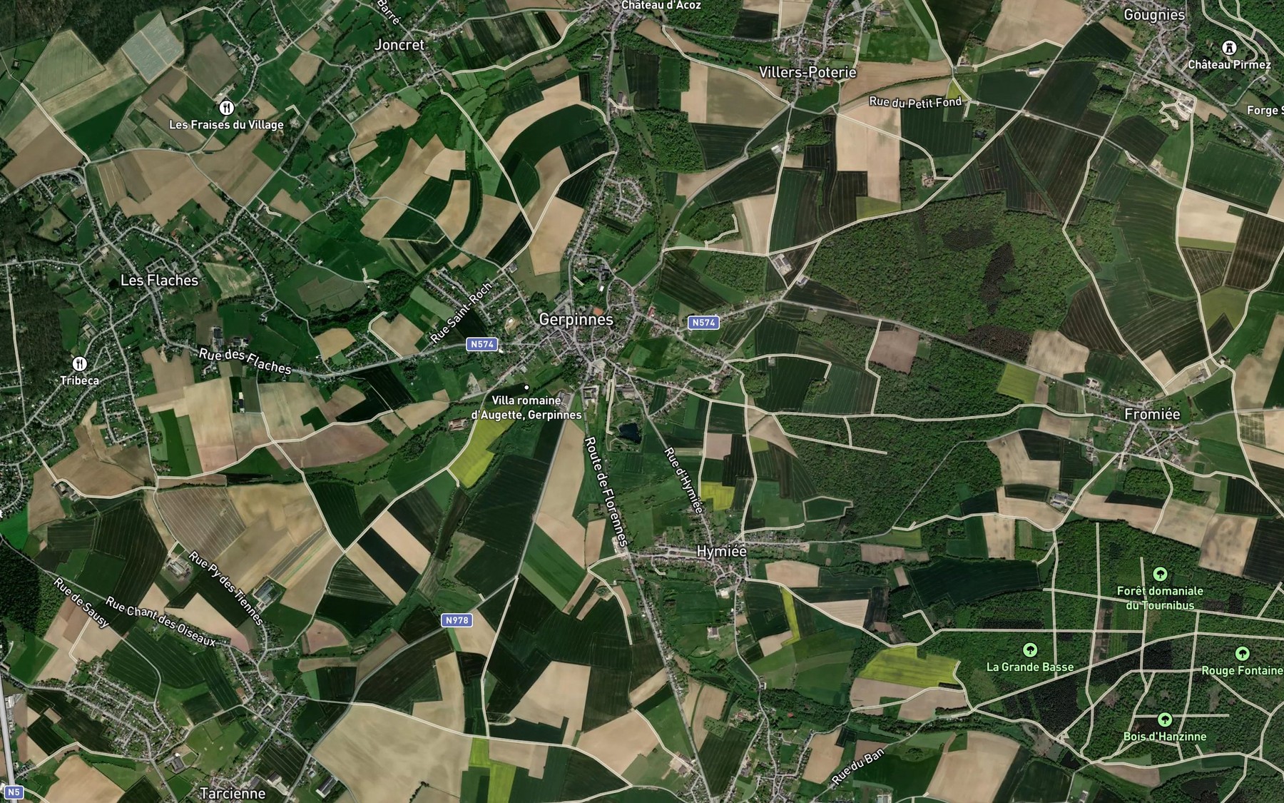 Satellite map of the Ruisseau d'Hanzinne