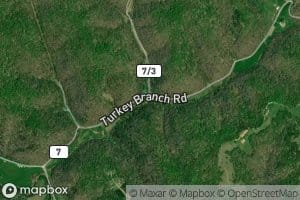 Left Fork Turkey Branch