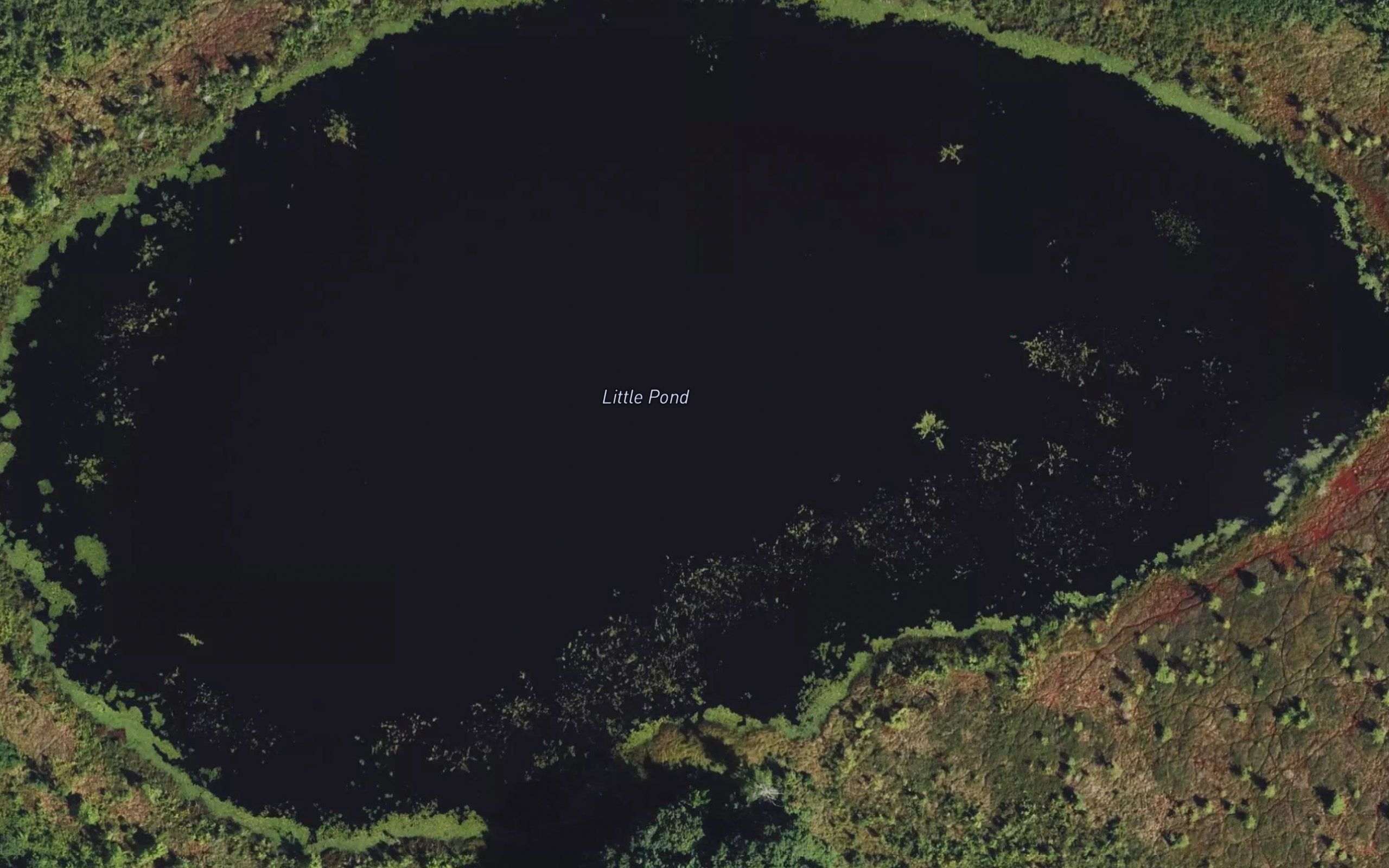 Little Pond