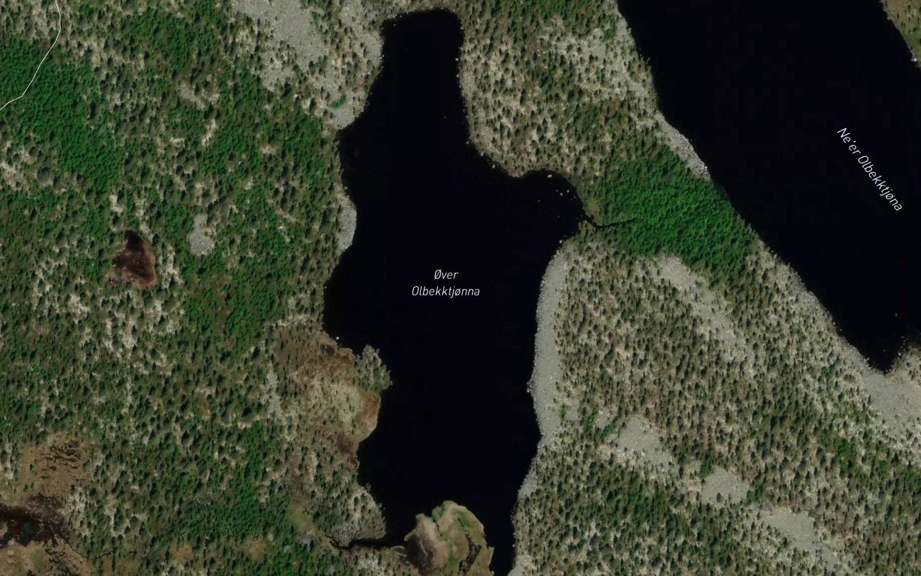 Satellite map of the Olbekktjonnan