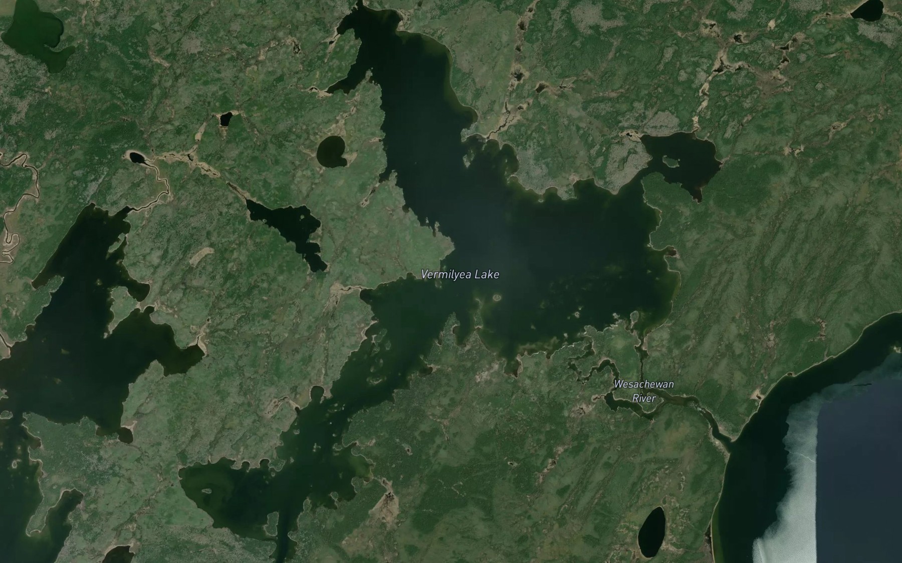 Satellite map of the Vermilyea Lake
