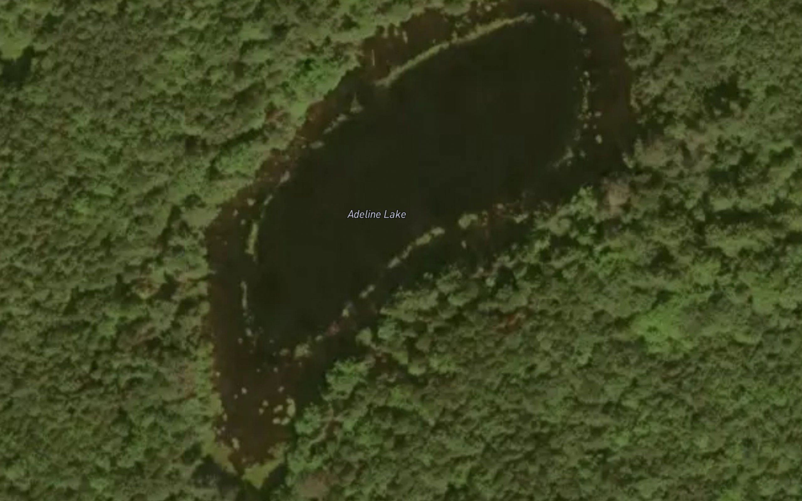 Adeline Lake