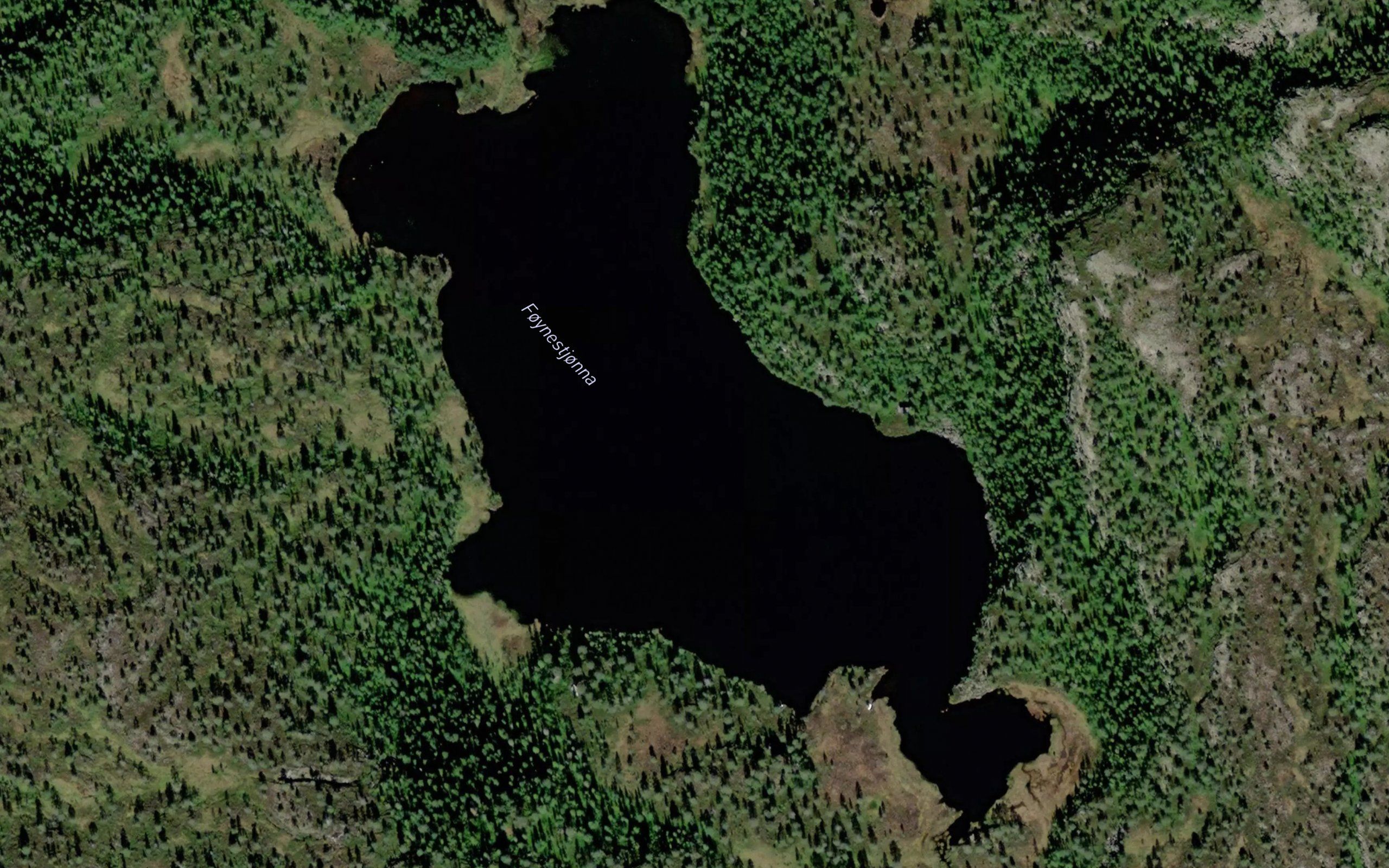 Foynemsaetertjorna