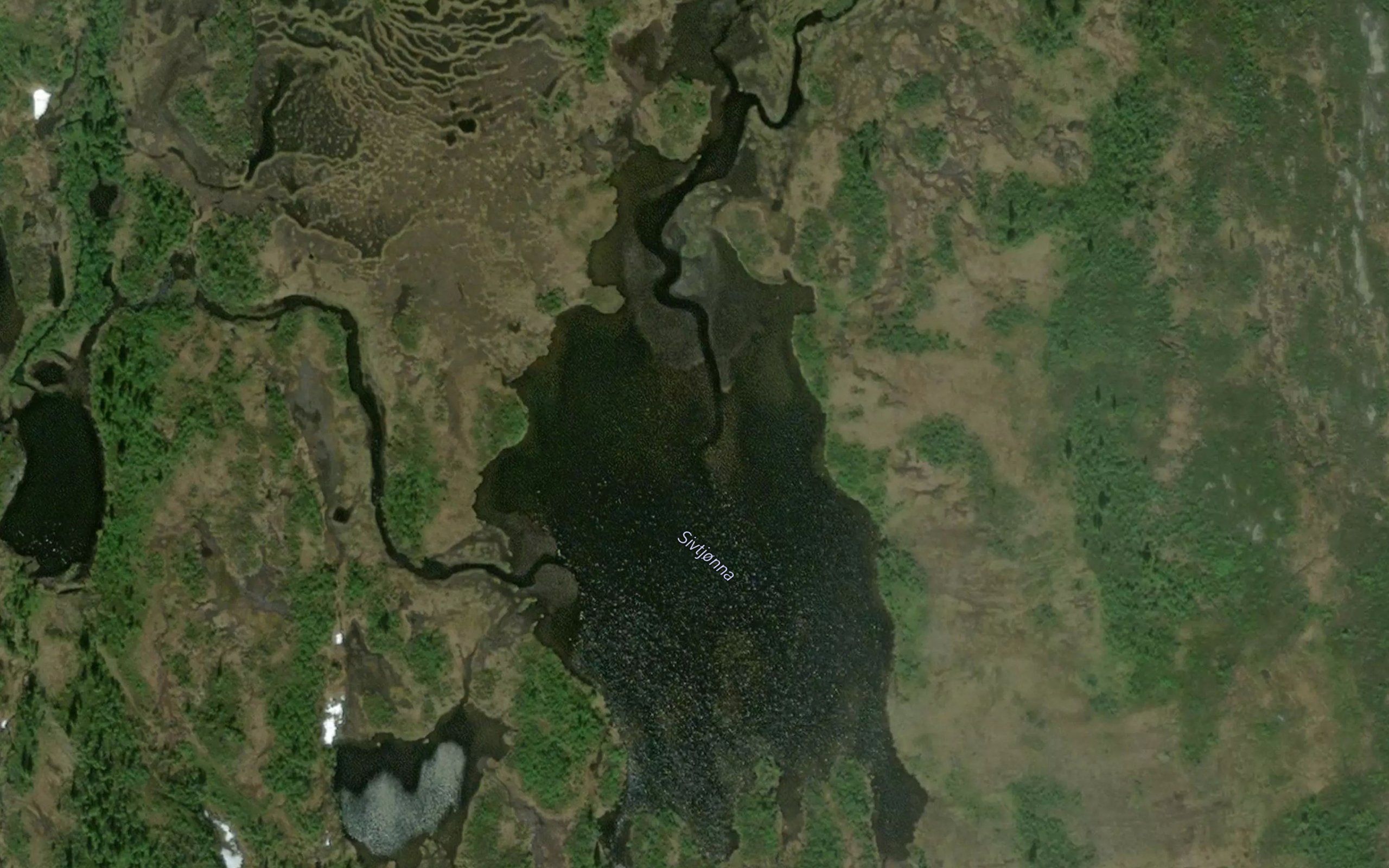Sivtjorna