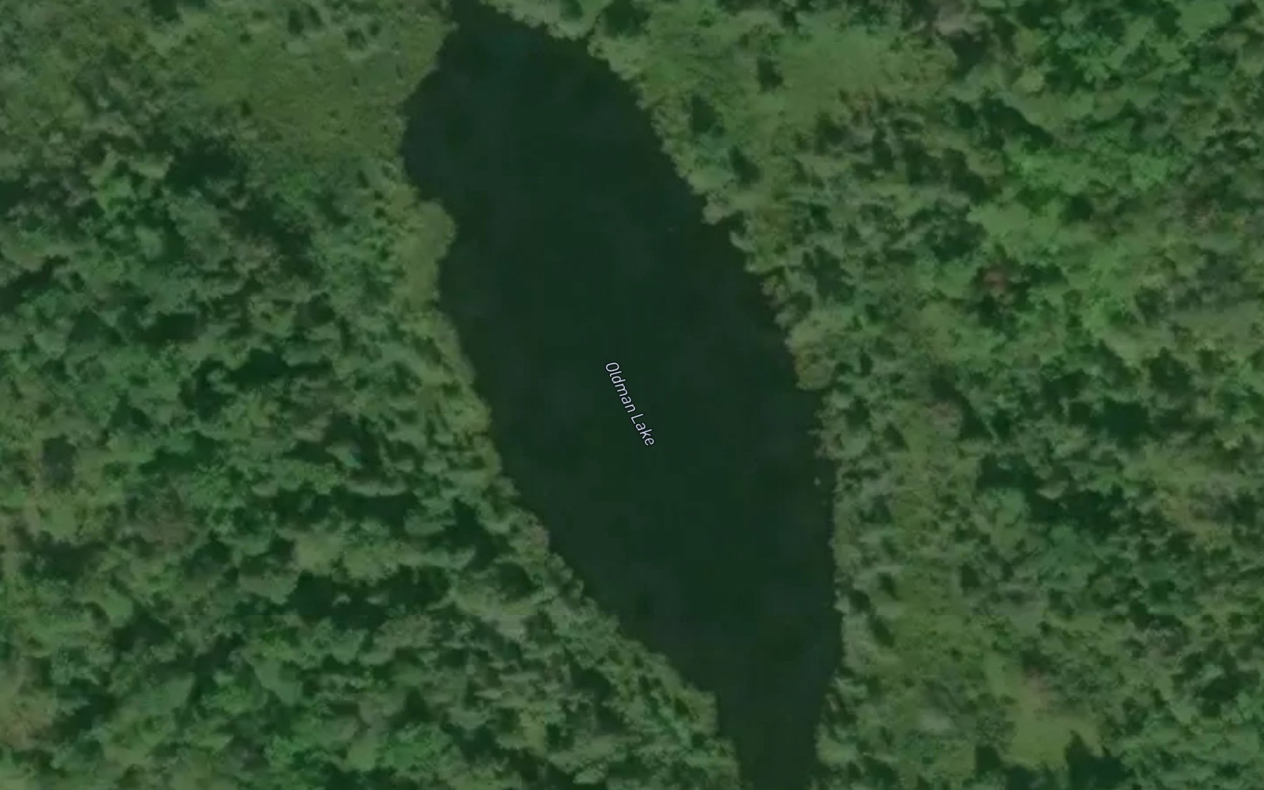 Satellite map of the Oldman Lake