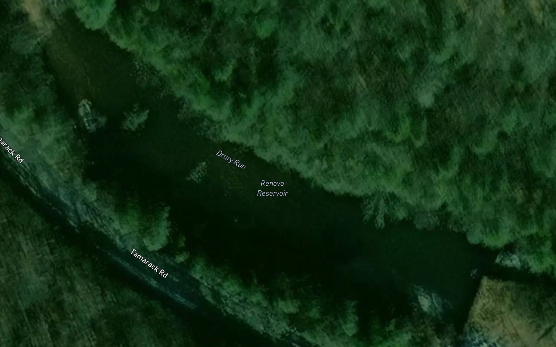 Satellite map of the Renovo Reservoir