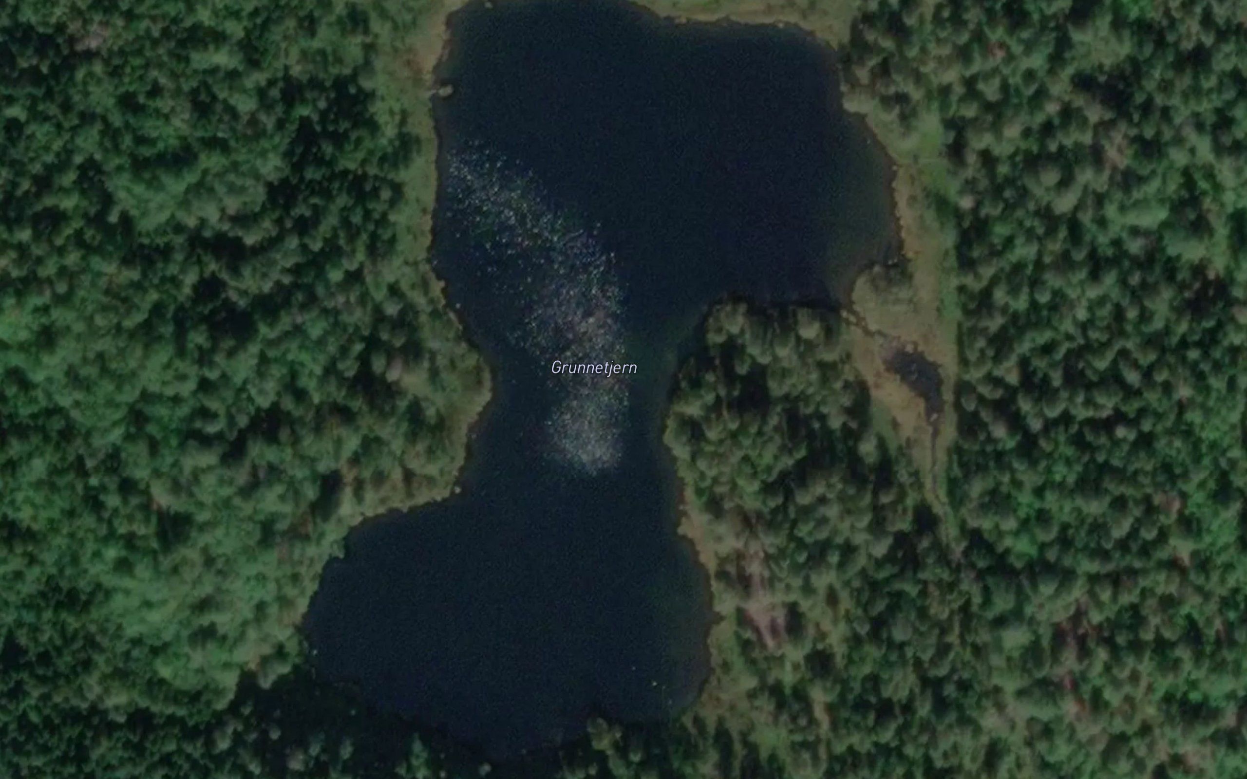 Grunrtjern