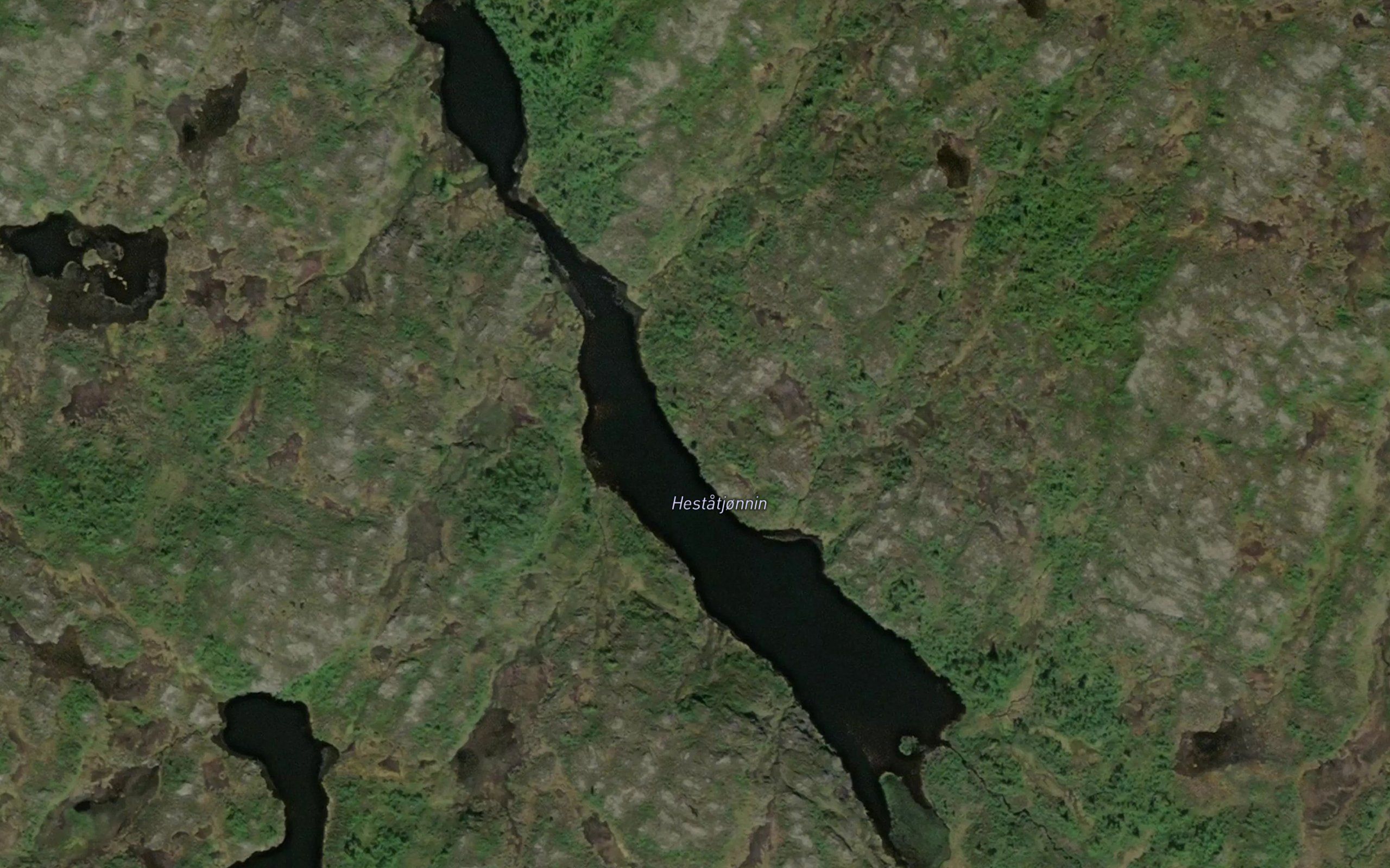 Hestatjonnin