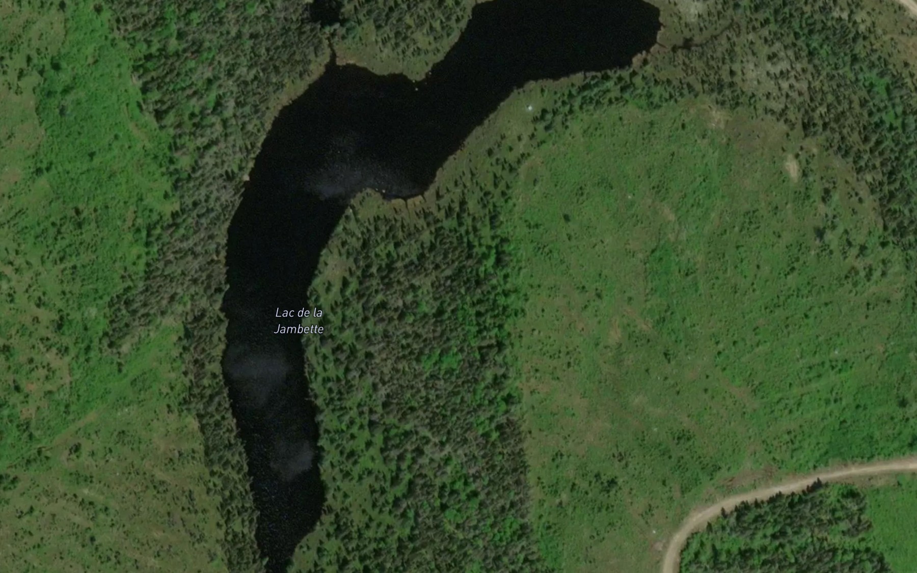 Satellite map of the Lac de la Jambette