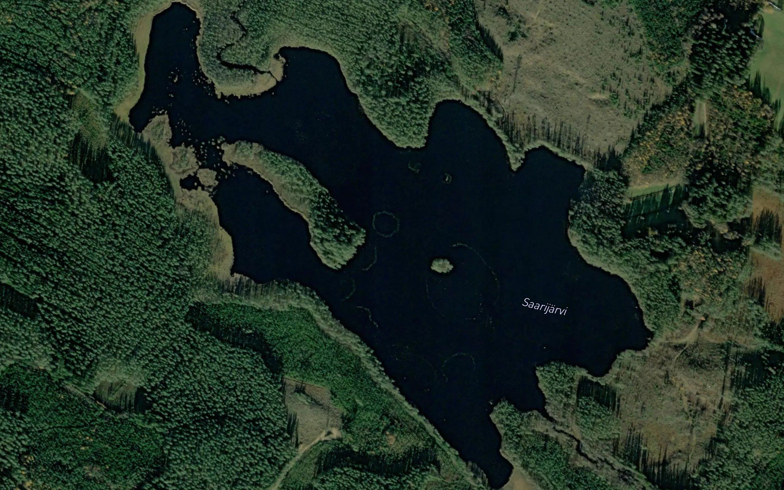 Saarijarvi