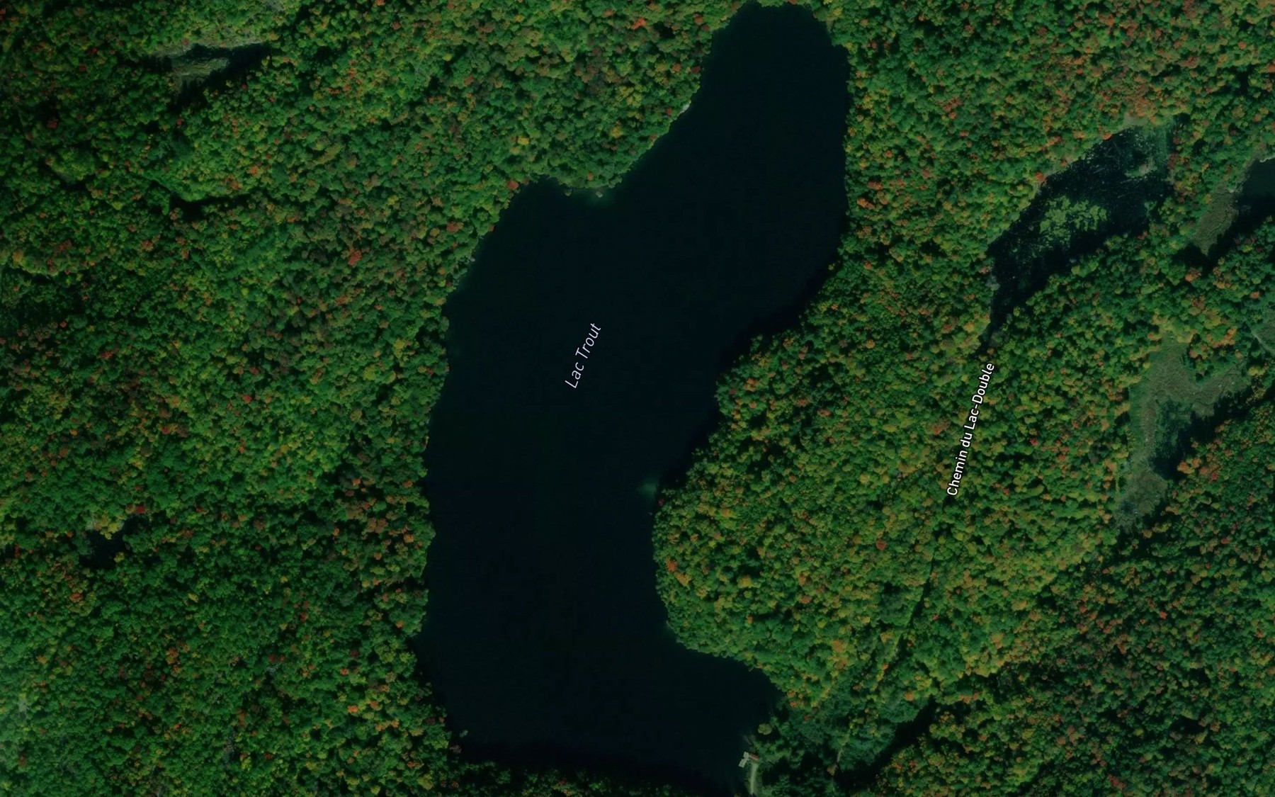 Satellite map of the Lac Trout