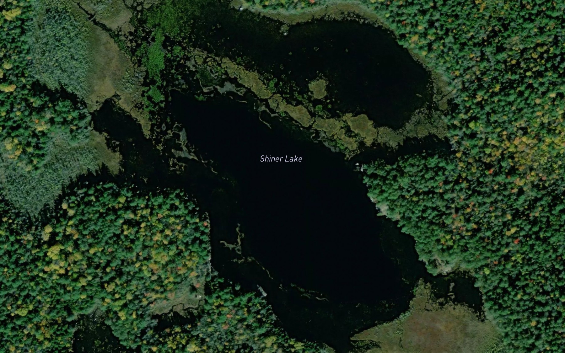 Satellite map of the Shiner Lake