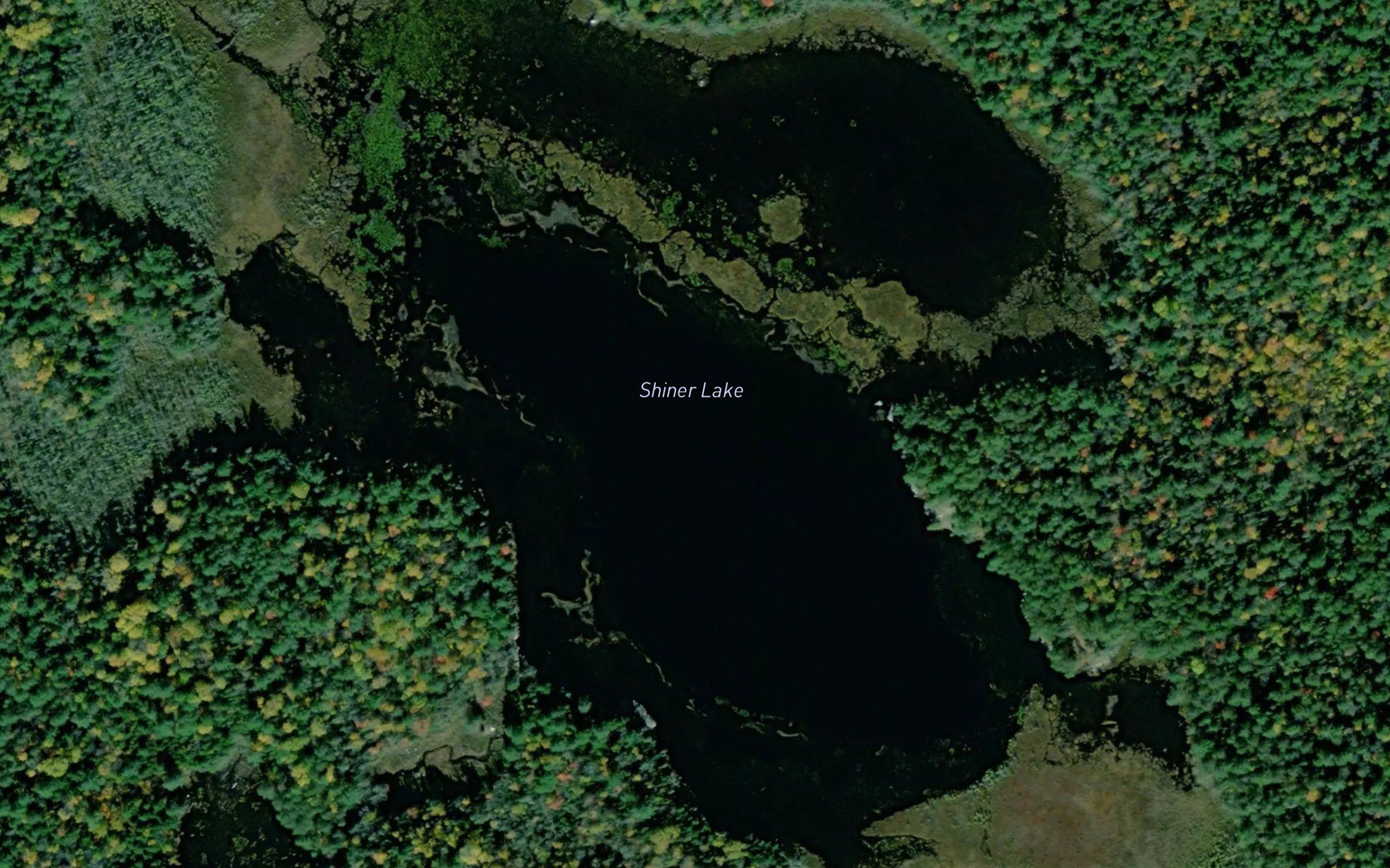 Shiner Lake