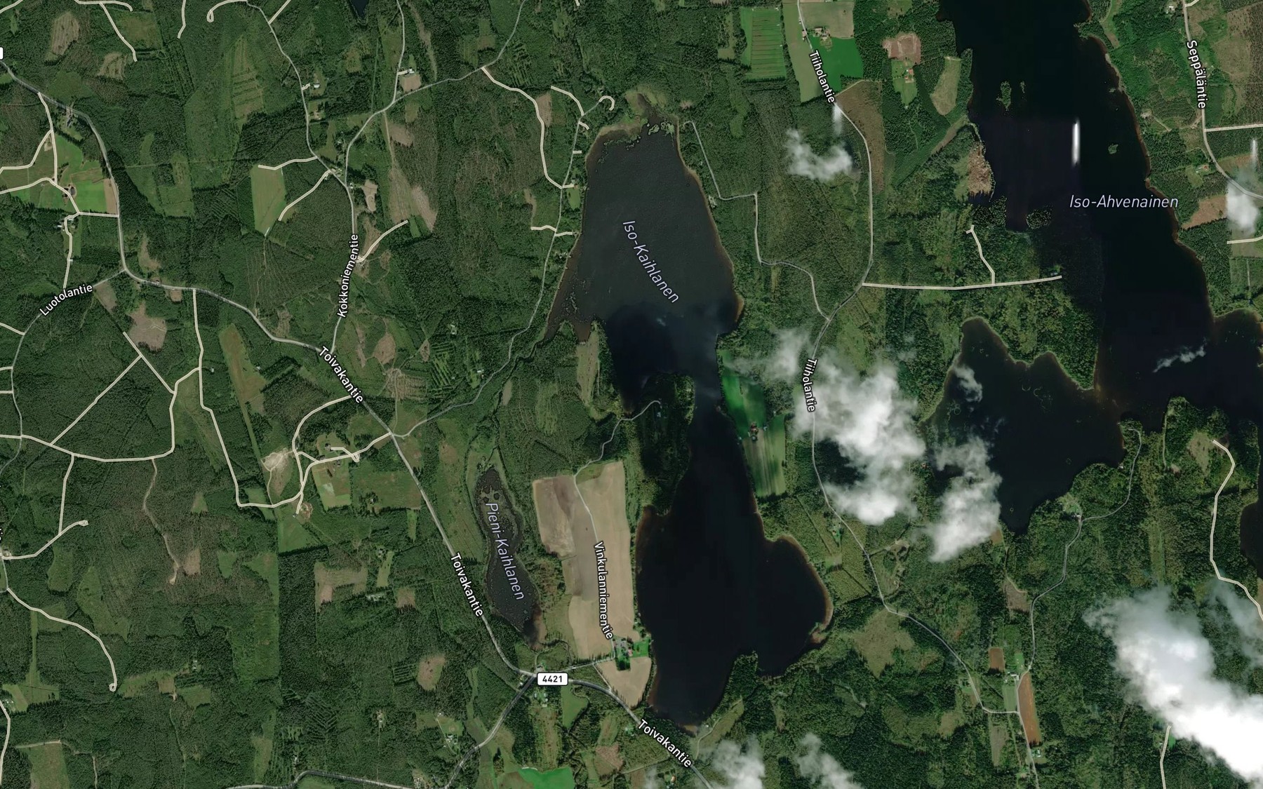 Satellite map of the Pitkalahti