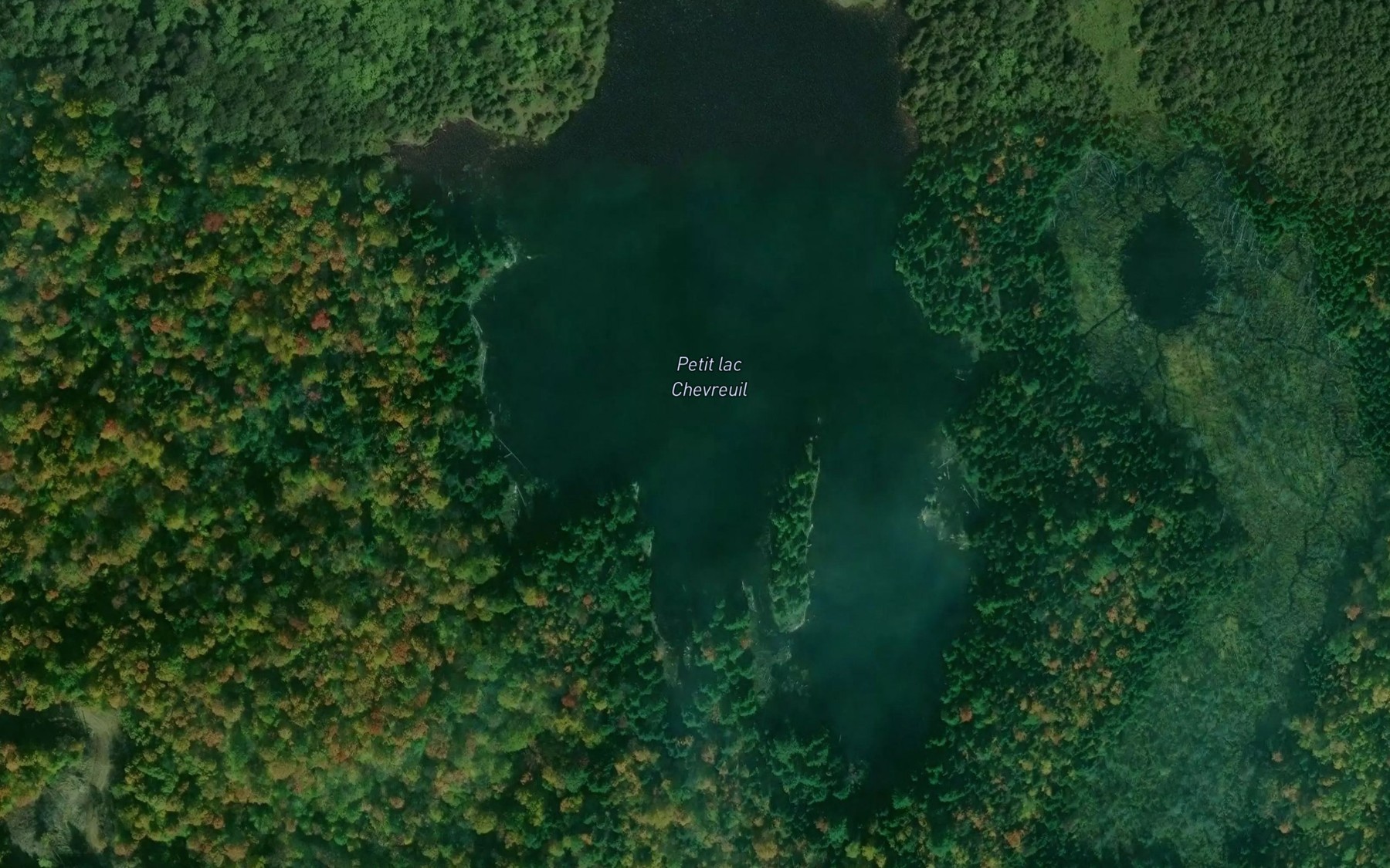 Satellite map of the Petit lac Chevreuil