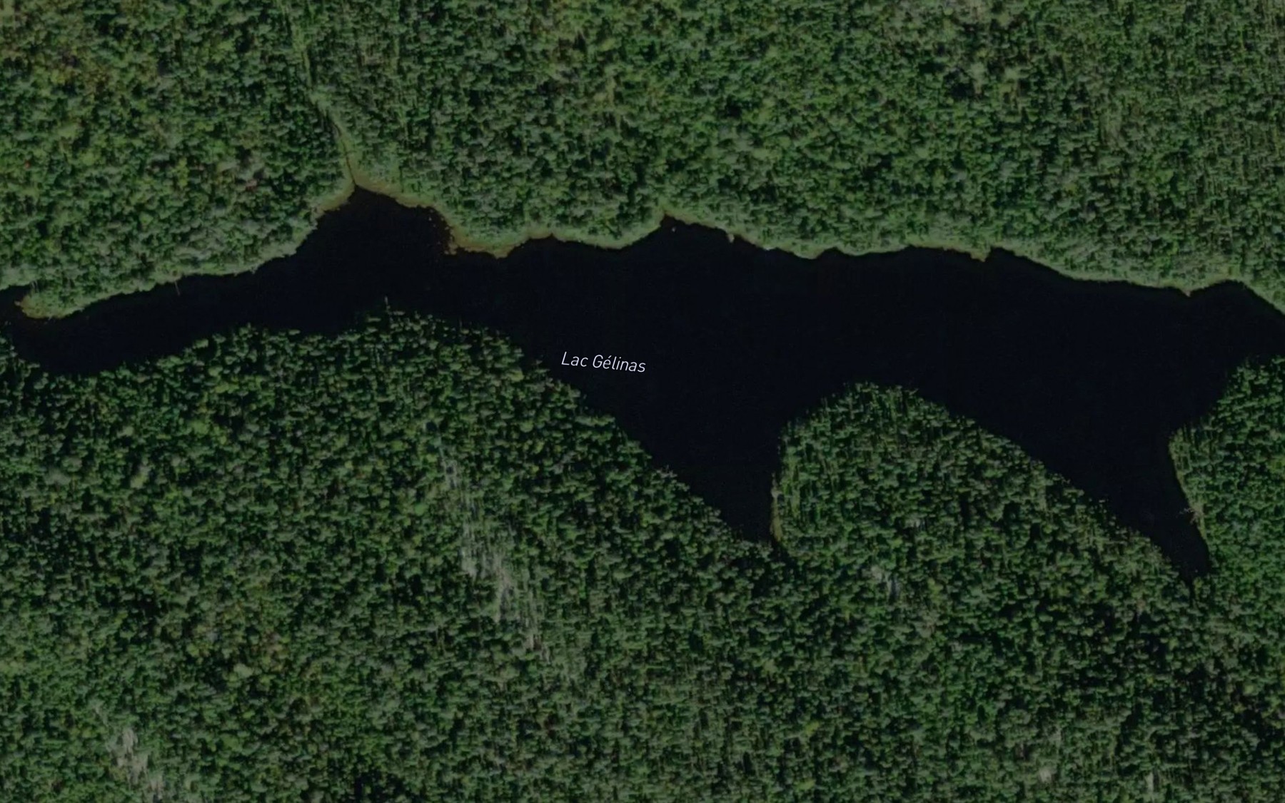 Satellite map of the Lac Gelinas