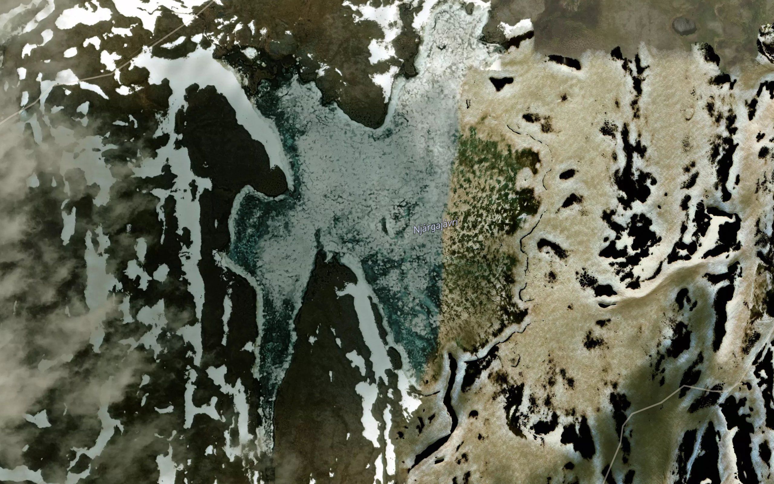 Njargajavri